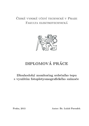 Dp 2013 paroulek lukas.pdf