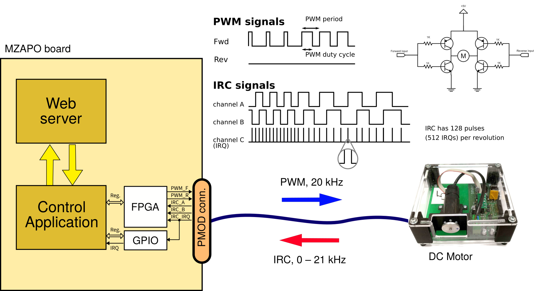 Details about connection between the motor and the board