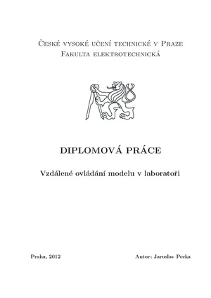 Dp 2012 pecka jaroslav.pdf