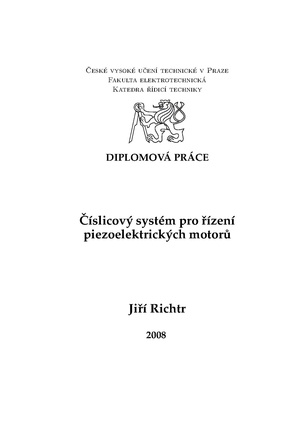 Dp 2008 richtr jiri.pdf