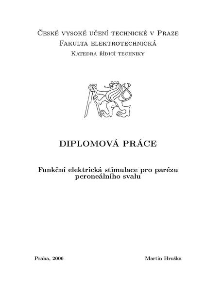 Soubor:Dp 2006 hruska martin.pdf