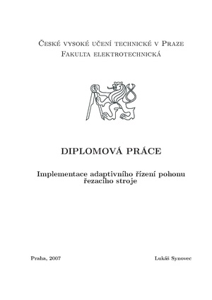 Dp 2007 synovec lukas.pdf