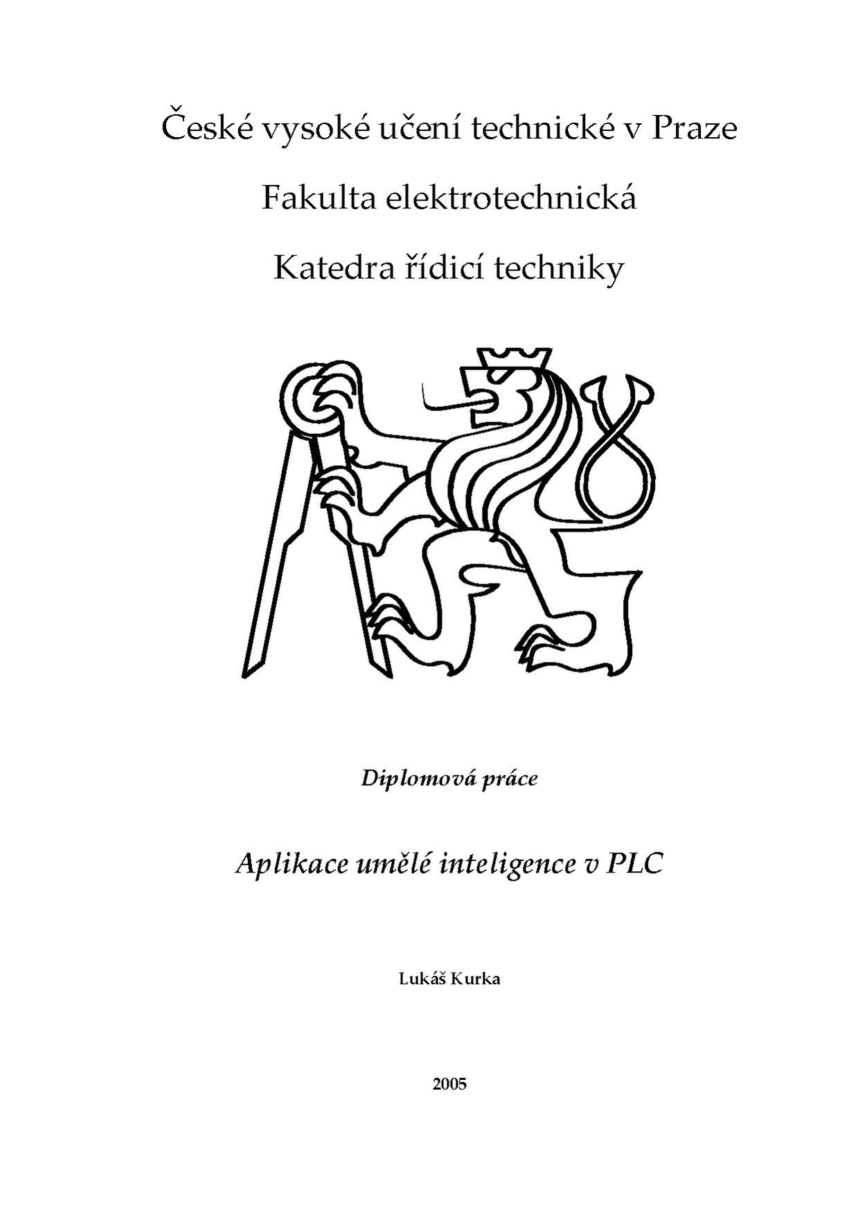 Dp 2005 kurka lukas.pdf