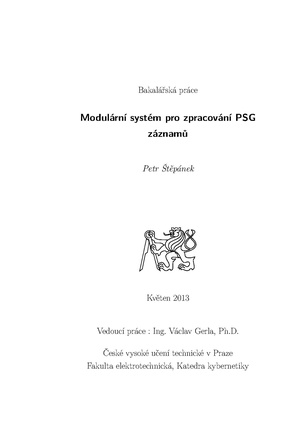 Bp 2013 stepanek petr.pdf